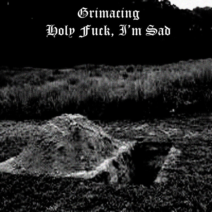 Holy Fuck I M Sad By Grimacing Single DSBM Reviews Ratings