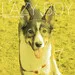 Cover art: Lazy Boy