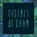 Cover art: Pistols at Dawn