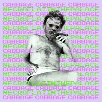 Necroflat in the Palace by Cabbage (EP, Garage Punk): Reviews, Ratings ...