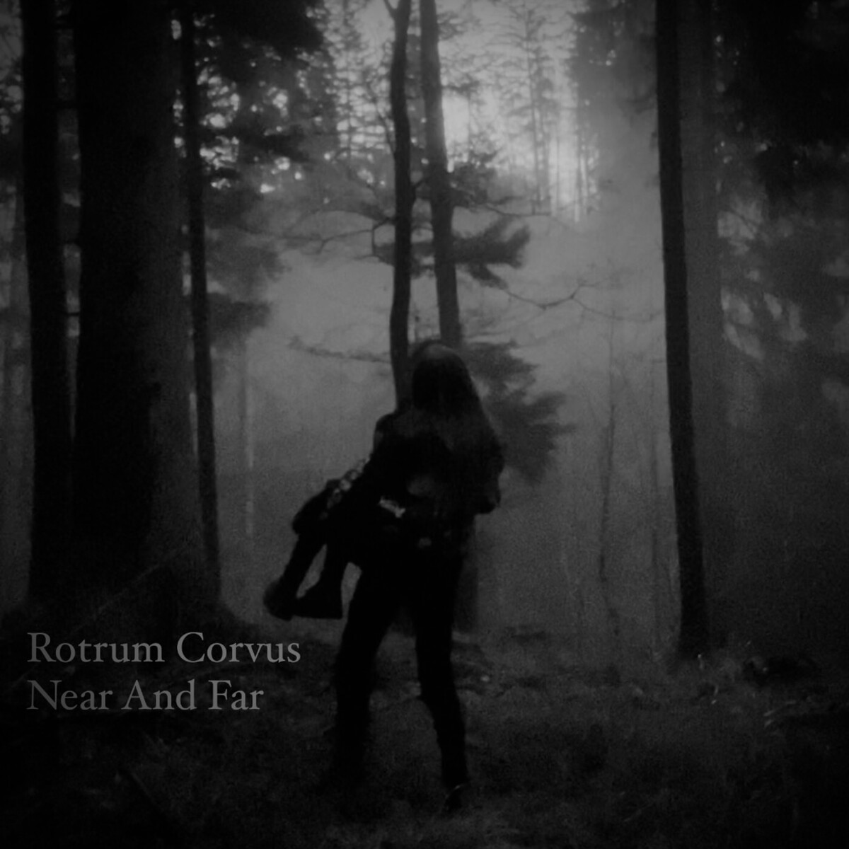 Near and Far by Rotrum Corvus (Single): Reviews, Ratings, Credits, Song ...