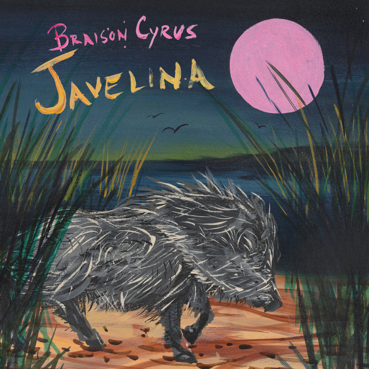 Braison Cyrus Albums: songs, discography, biography, and listening ...
