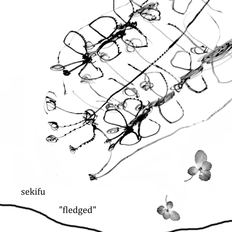 Fledged by Sekifu (Album): Reviews, Ratings, Credits, Song list - Rate ...