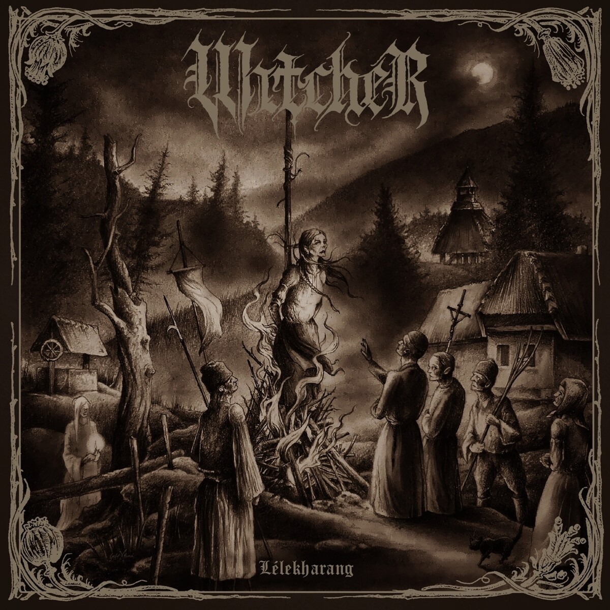 Witcher Albums: songs, discography, biography, and listening guide ...