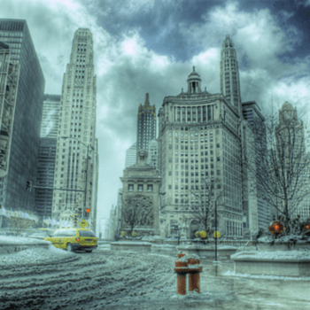 Cold Chicago Shores by Common Shiner (Single): Reviews, Ratings ...