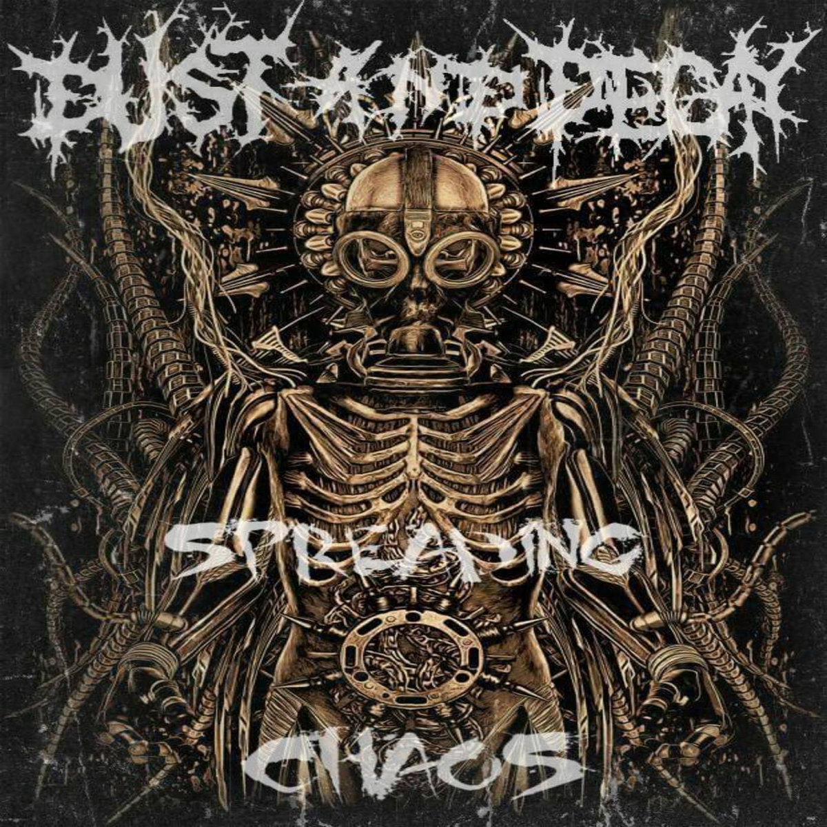 Dust and Decay Albums: songs, discography, biography, and listening ...