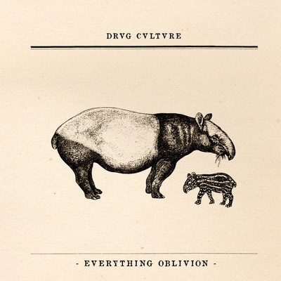 Drvg Cvltvre Albums: songs, discography, biography, and listening guide ...