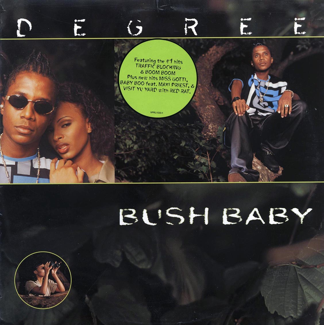 Bush Baby by Degree (Album; VP; VPRL-1533): Reviews, Ratings, Credits ...