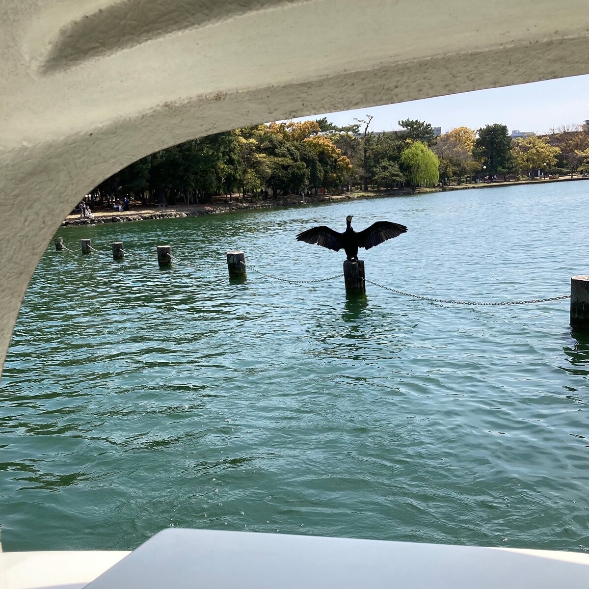 カネコアヤノ Billboard Live ワンマンショー 2023 - 12.15