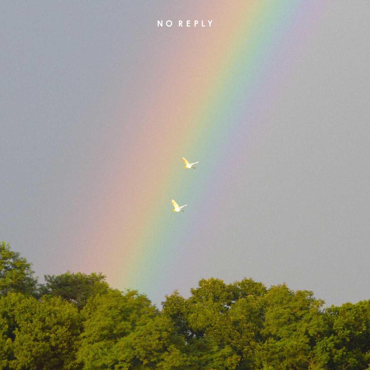 곁에 있을게 by 노리플라이 [No Reply] (Single): Reviews, Ratings, Credits, Song list -  Rate Your Music