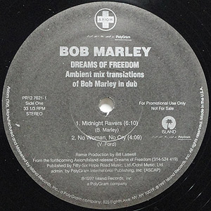 Dreams of Freedom (Ambient Mix Translations of Bob Marley in