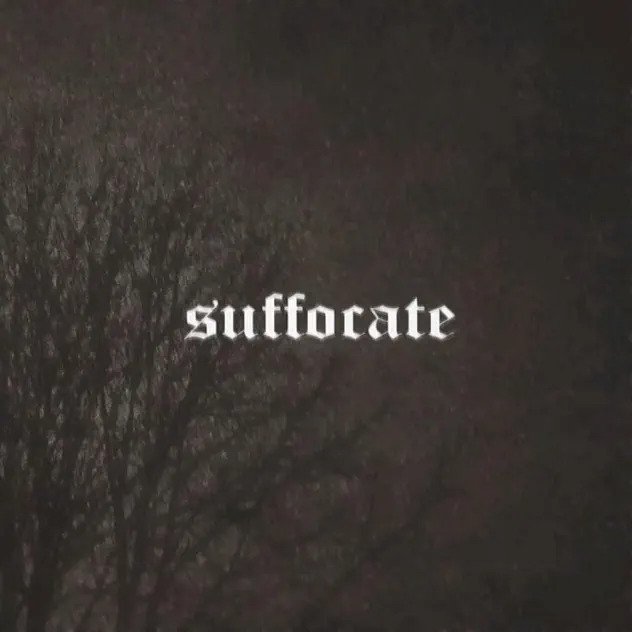 Suffocate by Days to Waste (Single, Emo): Reviews, Ratings, Credits ...
