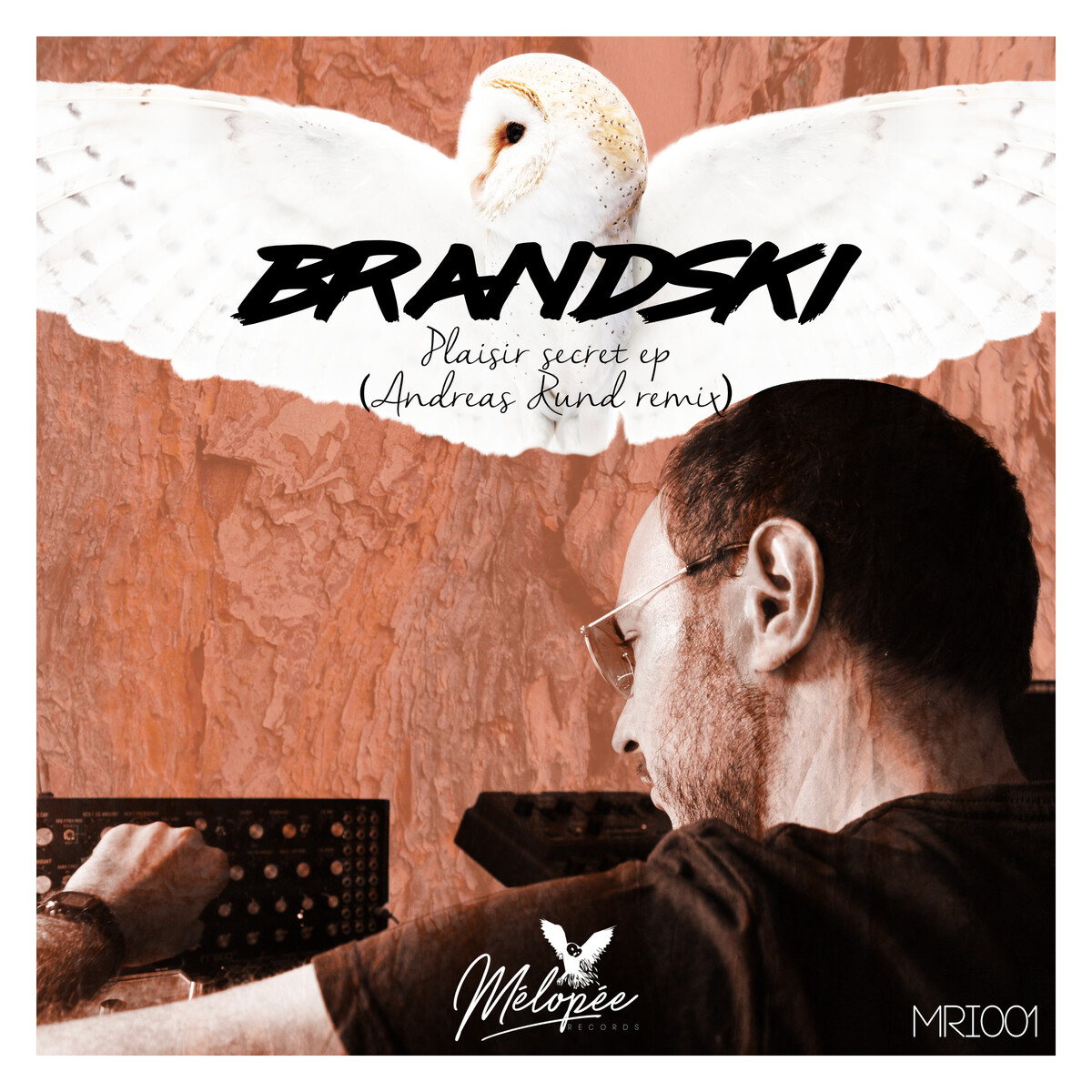 Plaisir secret by Brandski (EP): Reviews, Ratings, Credits, Song list ...