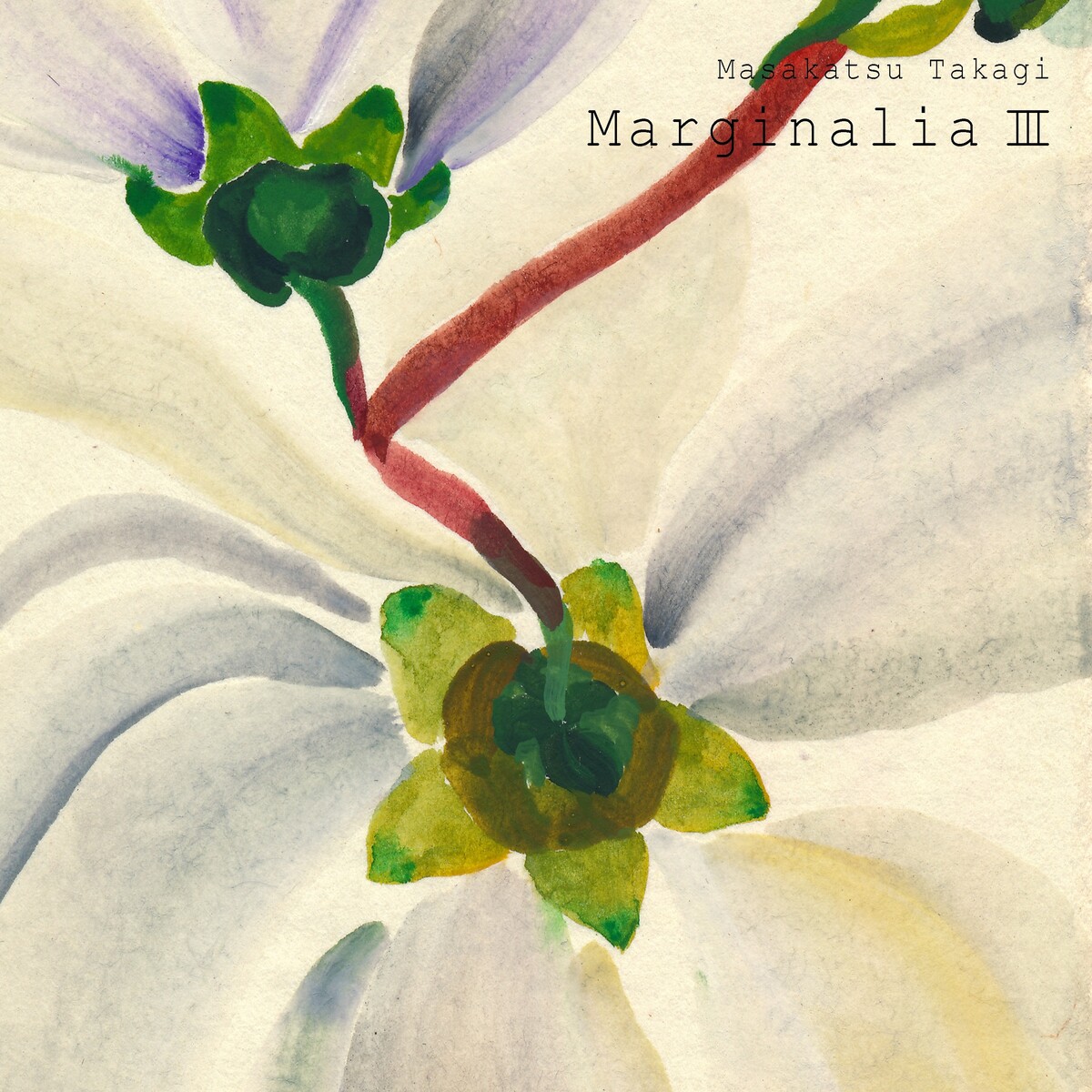 Marginalia III by 高木正勝 [Masakatsu Takagi] (Compilation