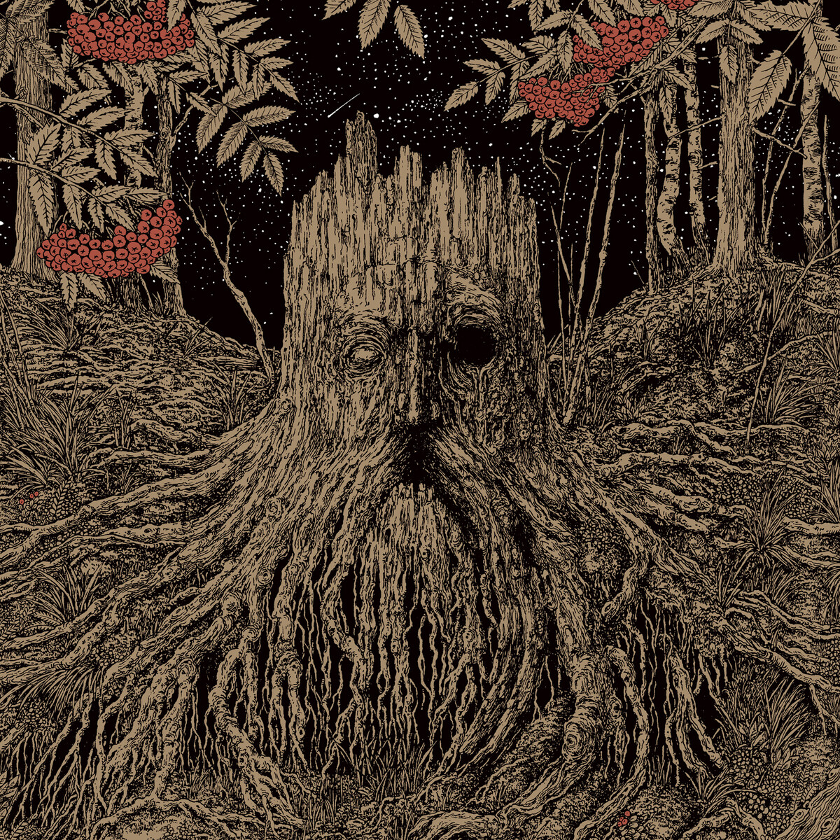 Sacrifice by Olhava (Album, Blackgaze): Reviews, Ratings, Credits, Song ...