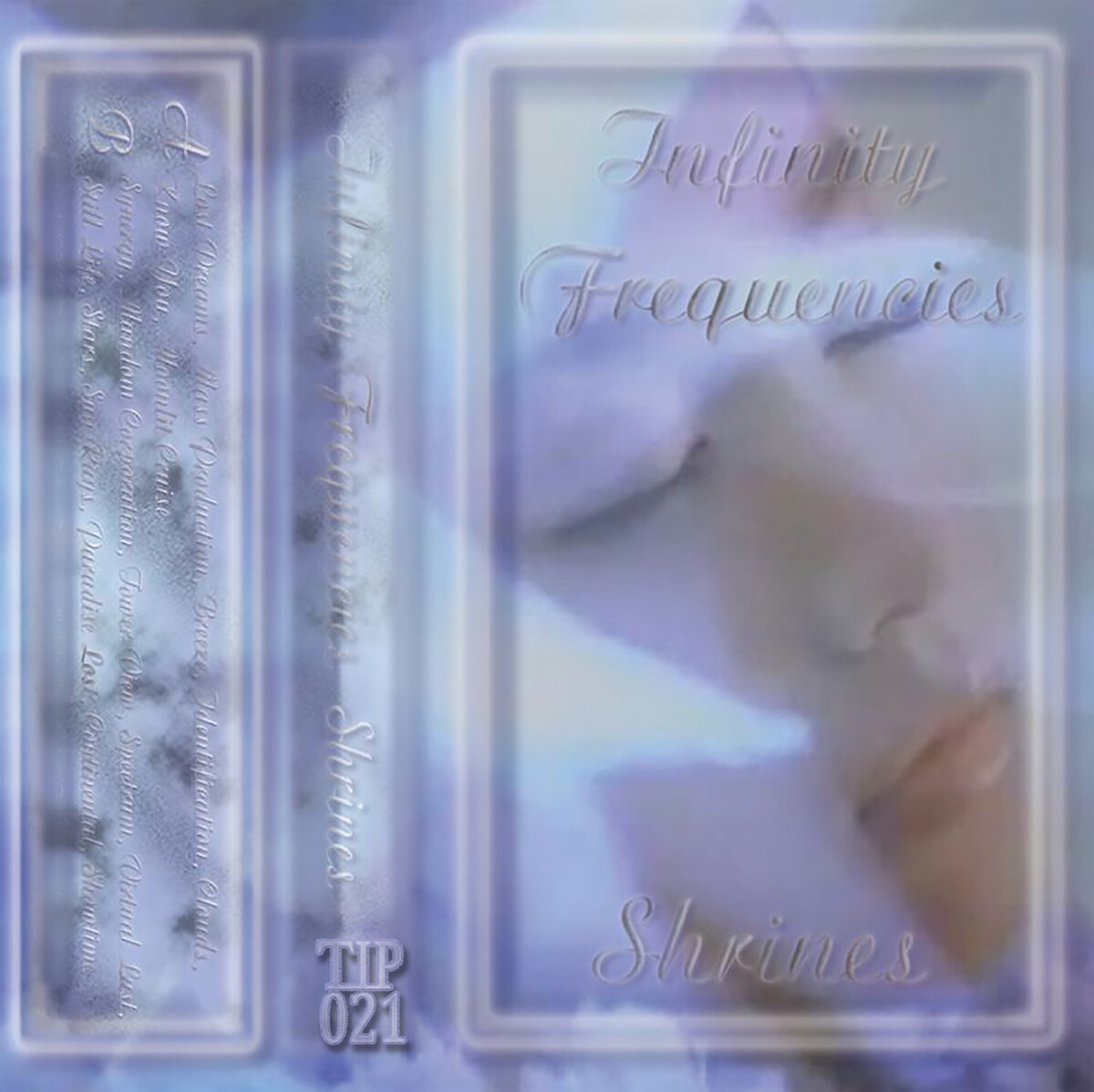 Shrines by Infinity Frequencies (Album; theINFINITIpool; TIP021 ...