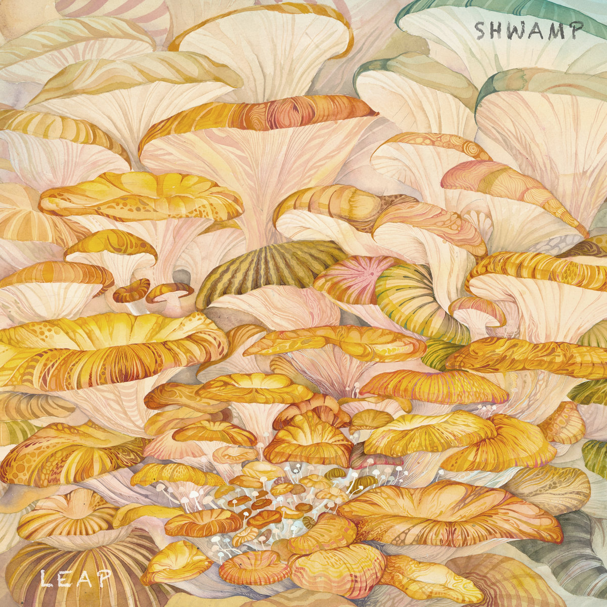 Leap by Shwamp (Album): Reviews, Ratings, Credits, Song list - Rate ...