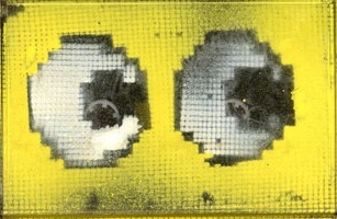 2003 Summer Mixtape by Fat Worm of Error (Album, Noise): Reviews ...