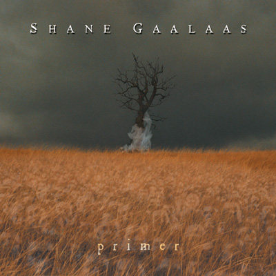 Shane Gaalaas Albums: songs, discography, biography, and listening ...