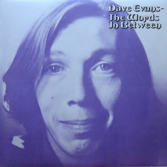 The Words in Between by Dave Evans (Album, Contemporary Folk