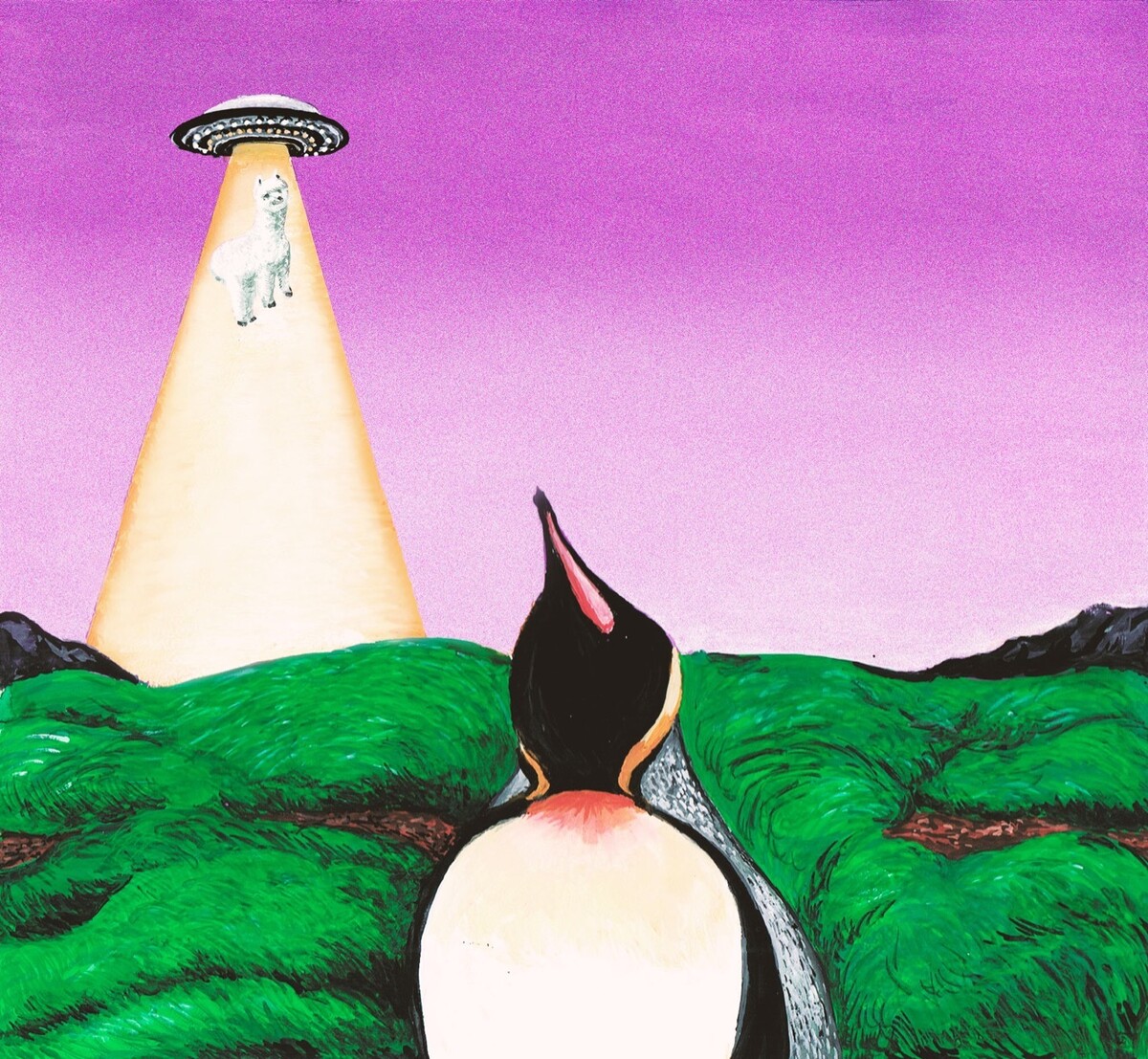 R / South Penguin アナログレコード LP 美品 SOUTH PENGUIN / R [LP - DDJB-91222]：JAPANESE：アナログレコード