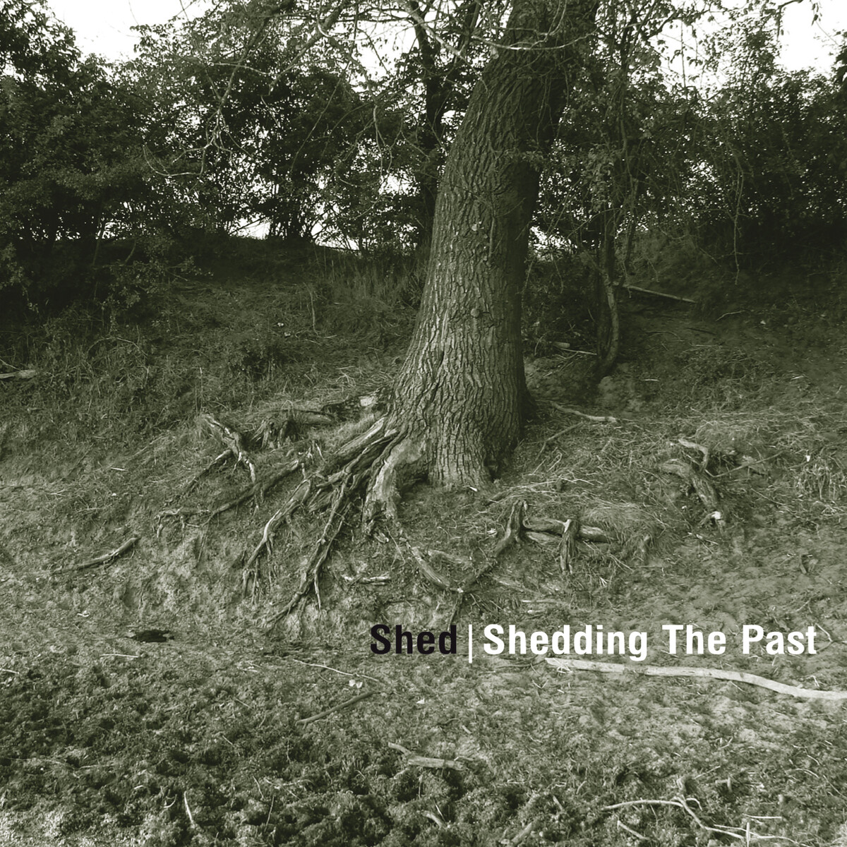 Shed Albums: songs, discography, biography, and listening guide - Rate ...