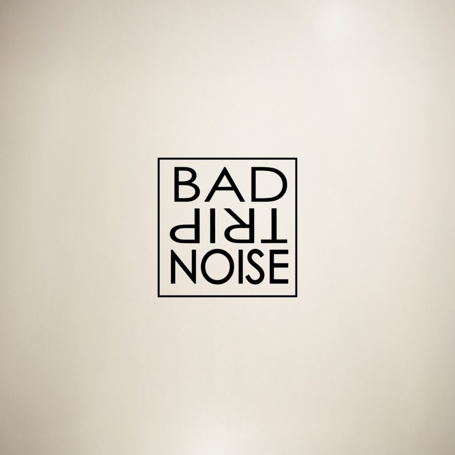 Bad Trip Noise by Bad Trip Noise (Album; New Sun; NEW SUN 013 CD ...