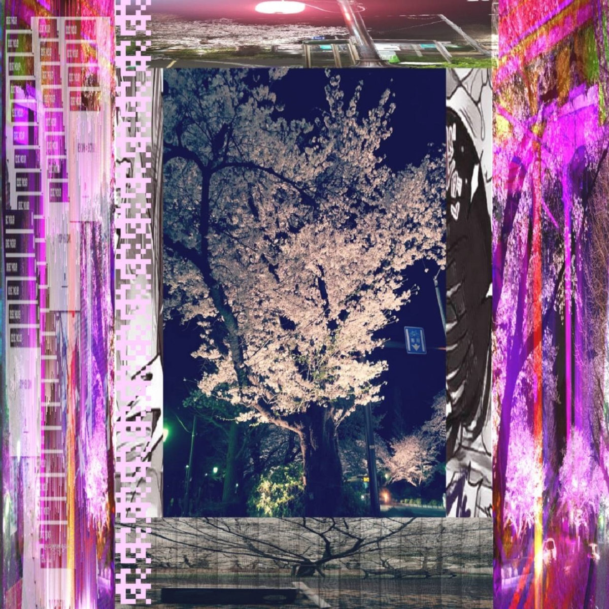 Shin(())code Albums: songs, discography, biography, and listening guide ...