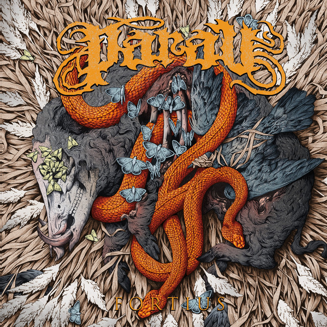 Fortius by Parau (Album): Reviews, Ratings, Credits, Song list - Rate ...