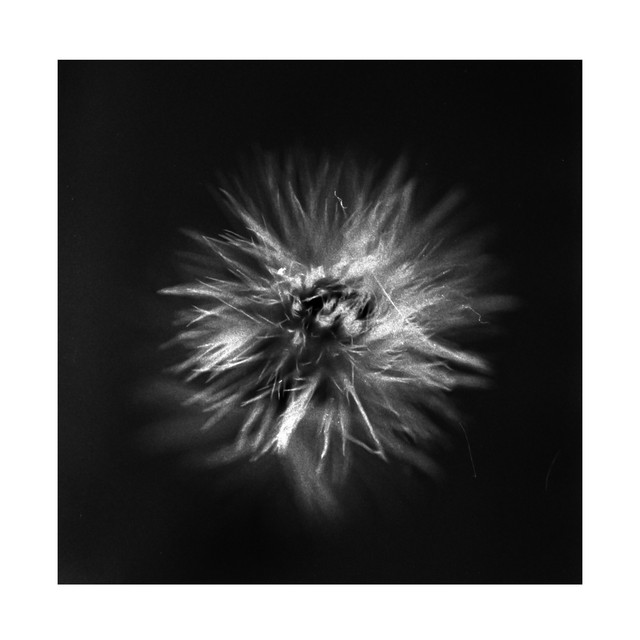 The Burning Wall by A Swarm of the Sun (Single, PostRock) Reviews, Ratings, Credits, Song list