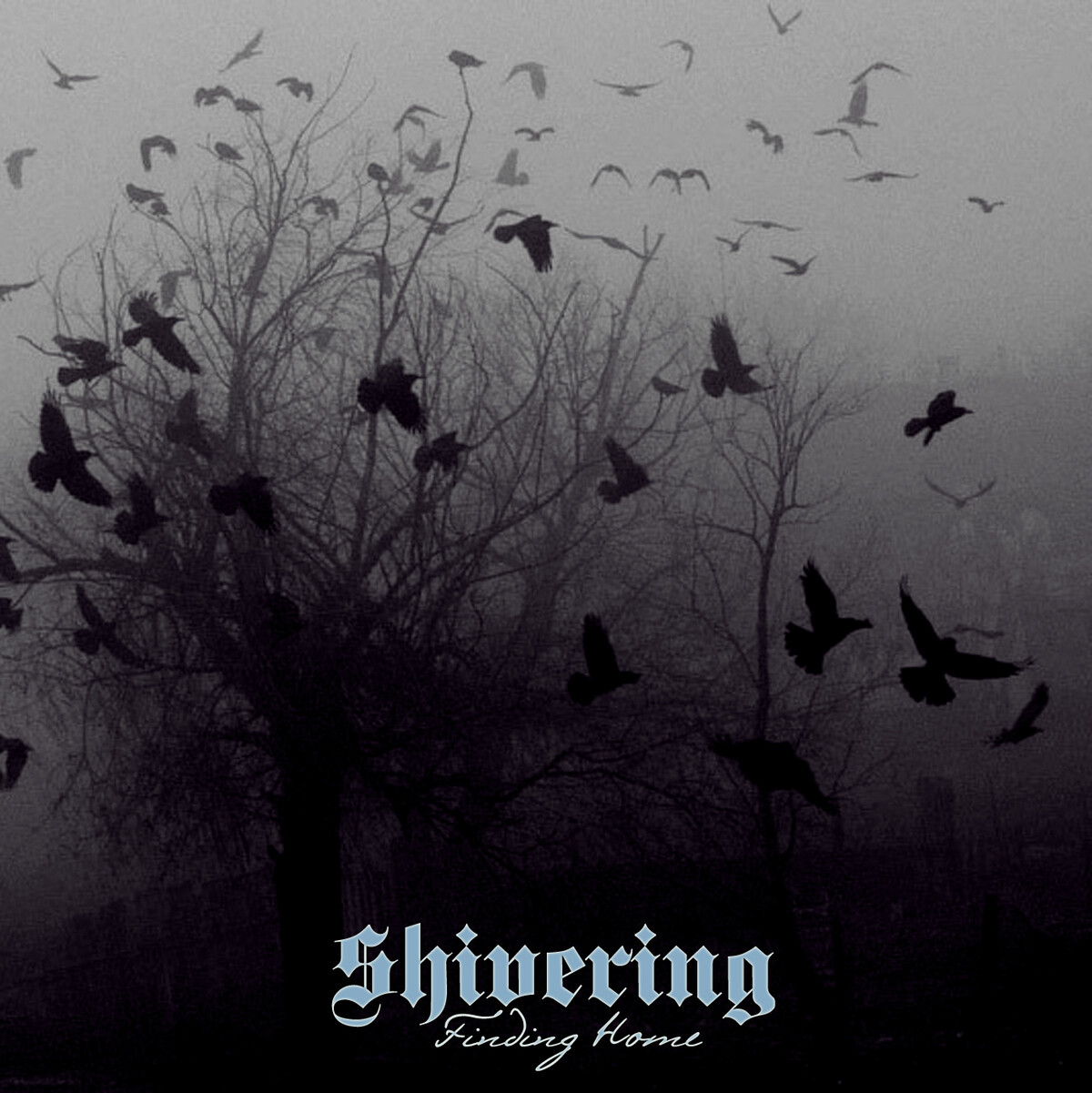 Finding Home by Shivering (Album, Depressive Black Metal): Reviews ...