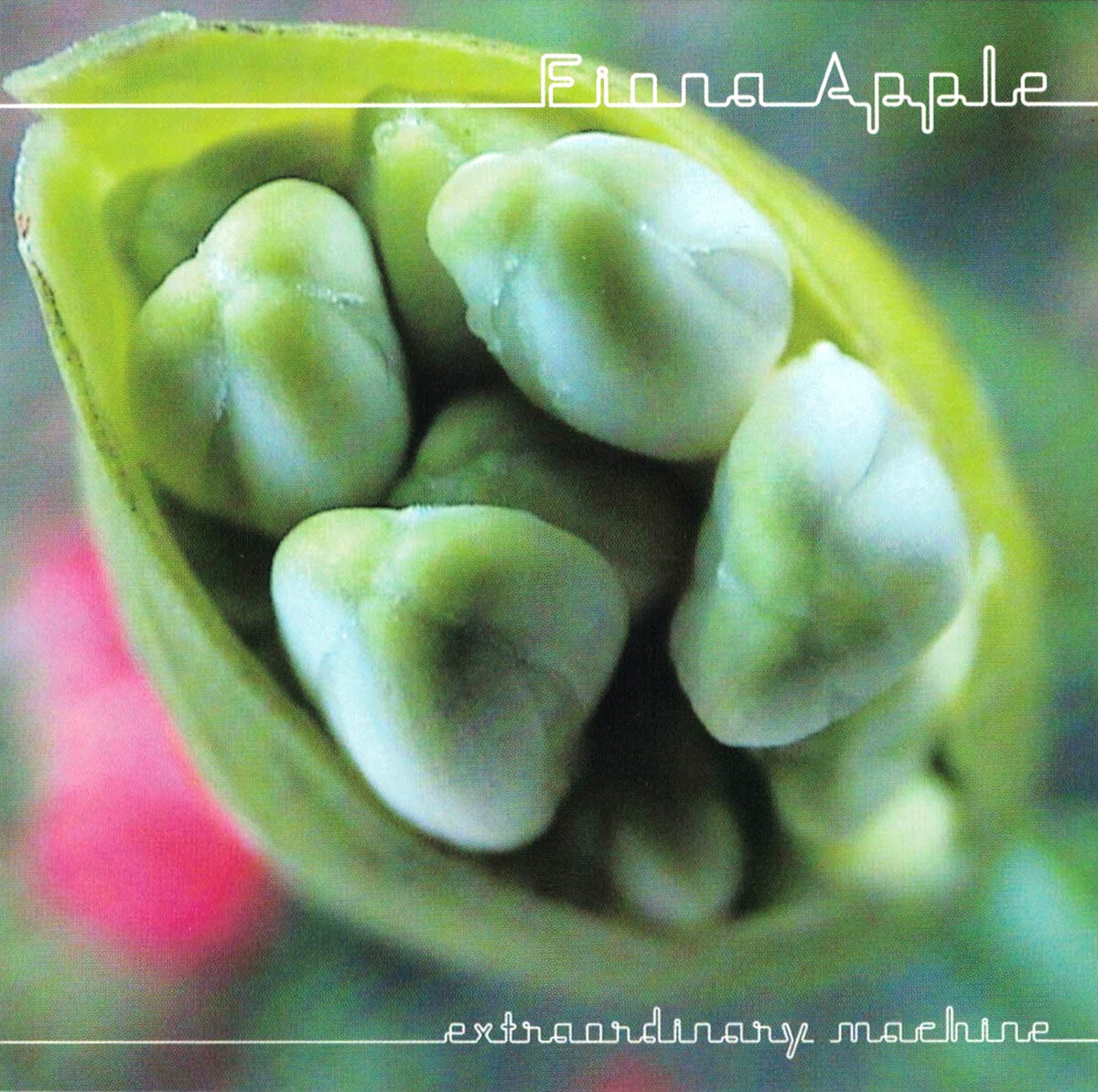 Lists with Extraordinary Machine by Fiona Apple (Album, Singer