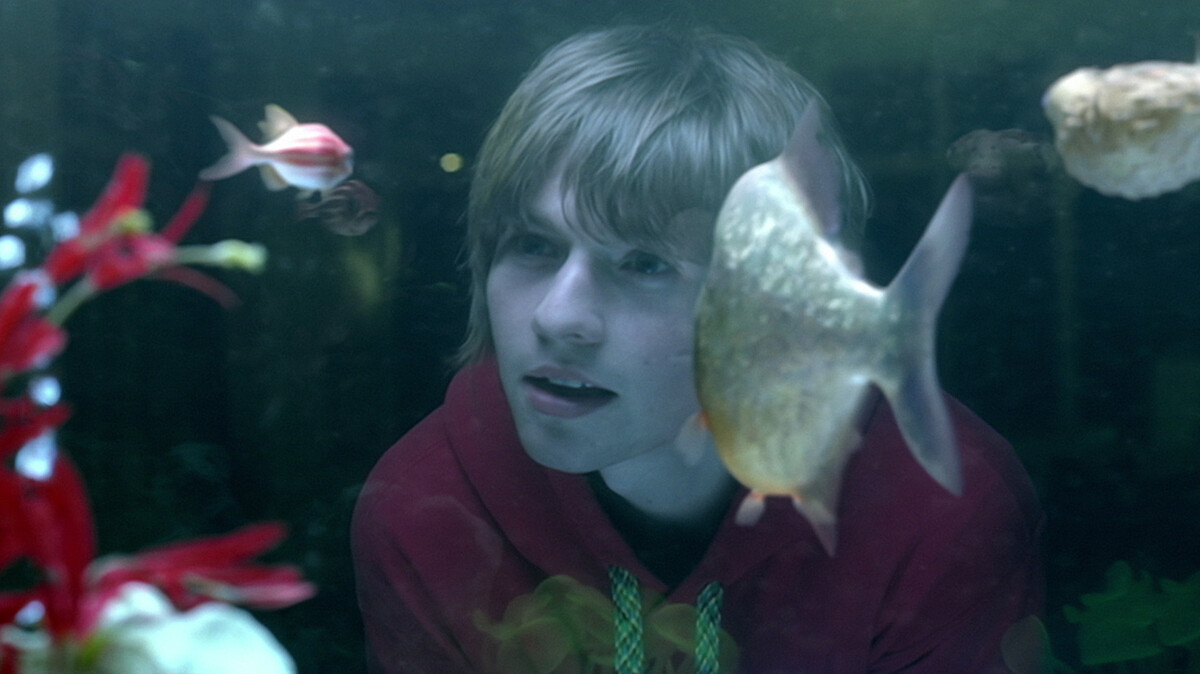 The Salmon Dance by The Chemical Brothers (Music video, Comedy Rap