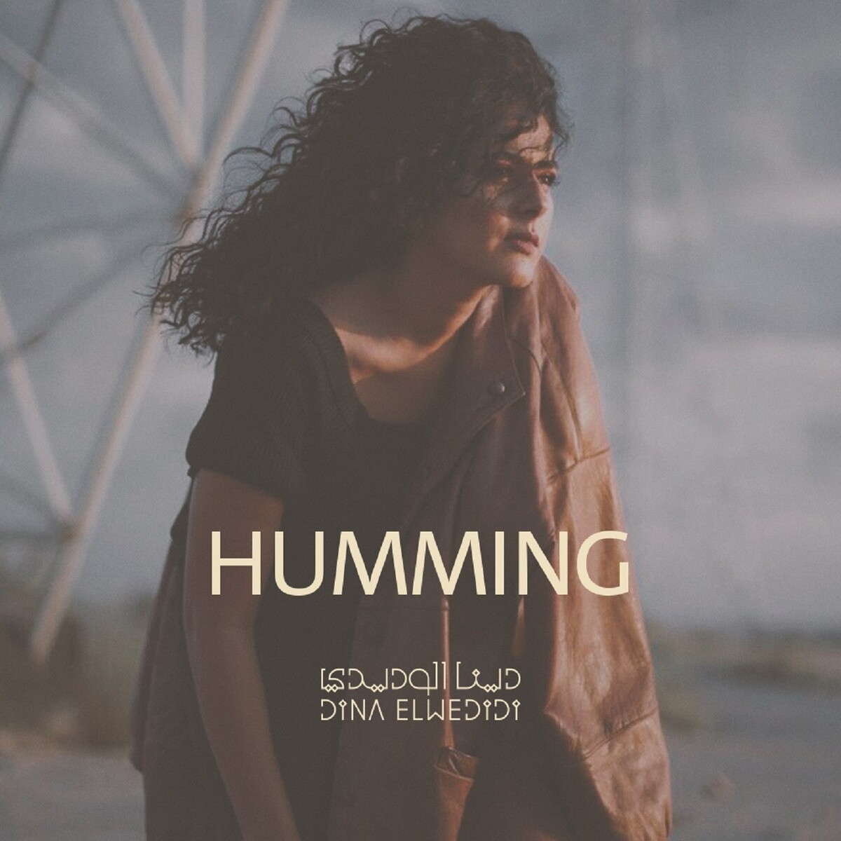 Humming by Dina El Wedidi (Single): Reviews, Ratings, Credits, Song ...