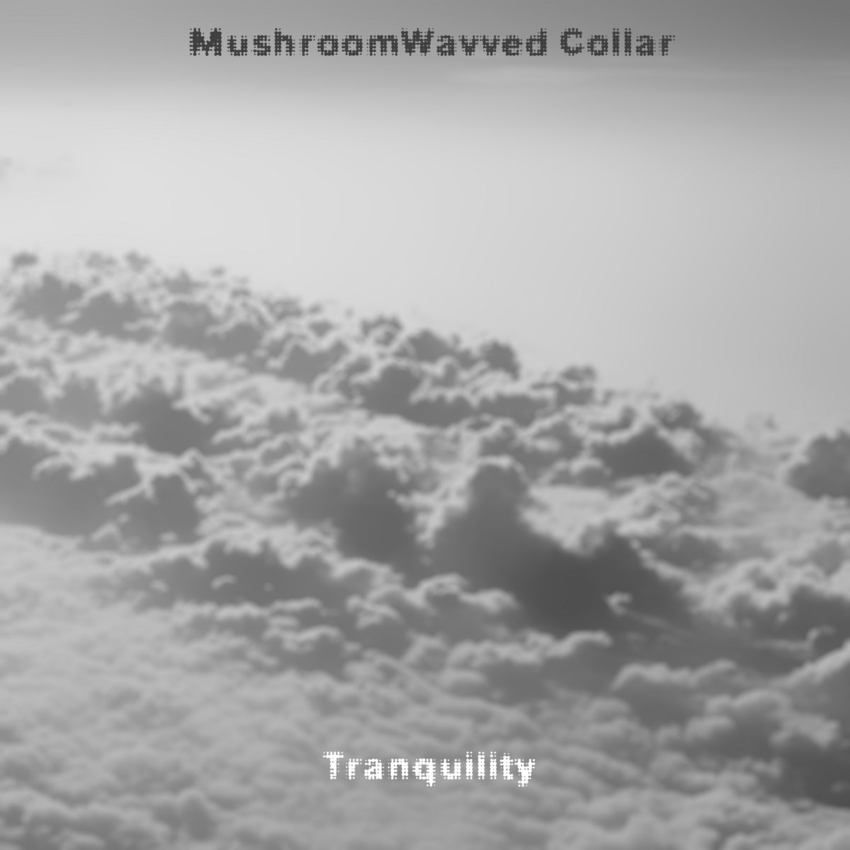 Tranquility by MushroomWavved Collar (Album): Reviews, Ratings, Credits ...