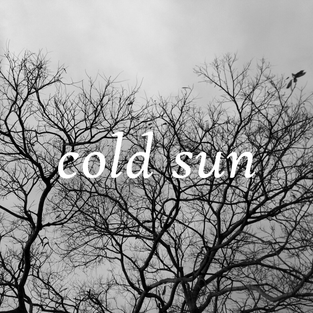 Cold Sun by Damiantoni (Single): Reviews, Ratings, Credits, Song list ...