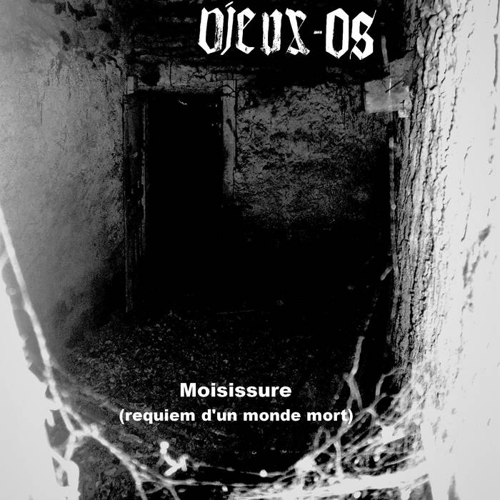 VID OS DE VIEUX visual data 2