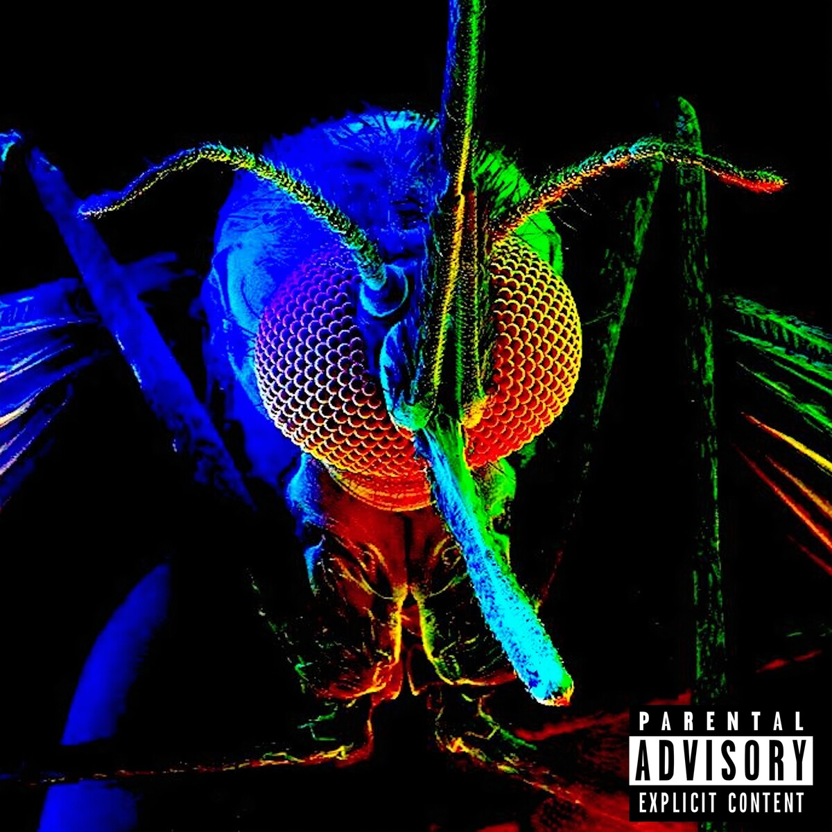 Get Shot by Lil Mosquito Disease (Single, Trap Metal): Reviews, Ratings ...