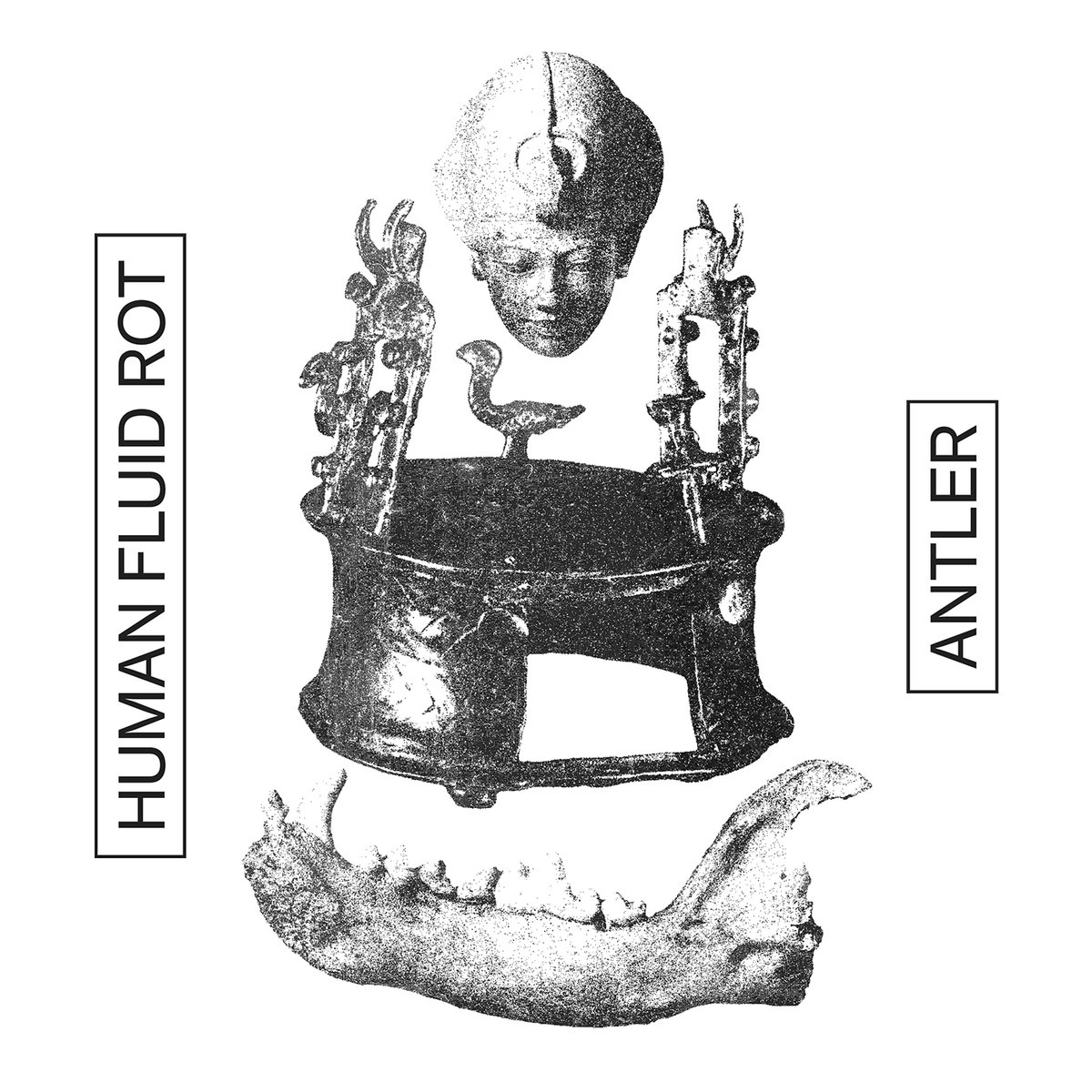 Antler by HUMAN FLUID ROT (Single): Reviews, Ratings, Credits, Song ...