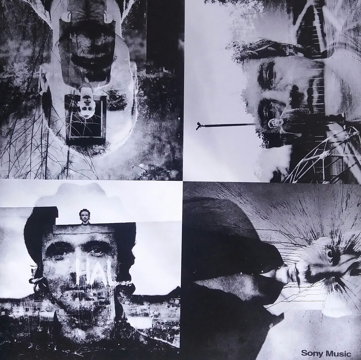 7098294