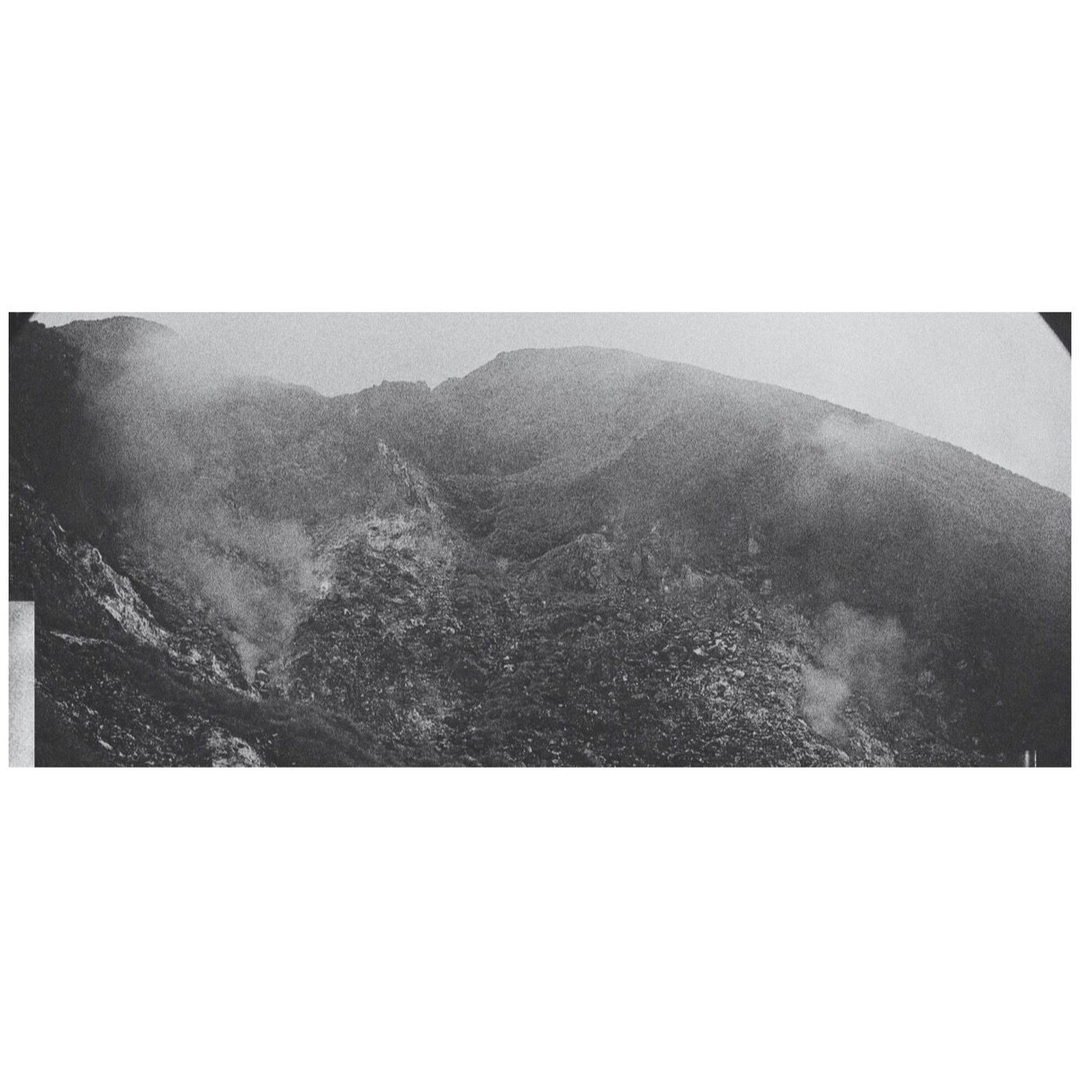 Moon Rabbit Albums: songs, discography, biography, and listening guide ...