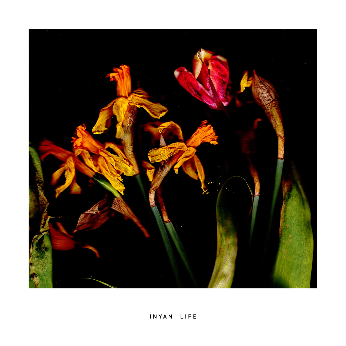 Life by INYAN (Album): Reviews, Ratings, Credits, Song list - Rate Your ...