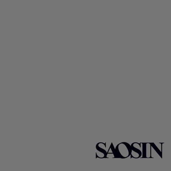 SAOSIN / Translating The Name ポストハードコア The Grey by Saosin