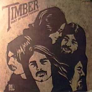 Part of What You Hear by Timber (Album, Country Rock): Reviews, Ratings ...