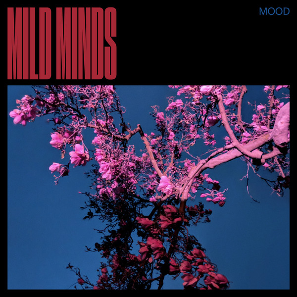 MOOD by Mild Minds (Album, Synthpop): Reviews, Ratings, Credits, Song ...