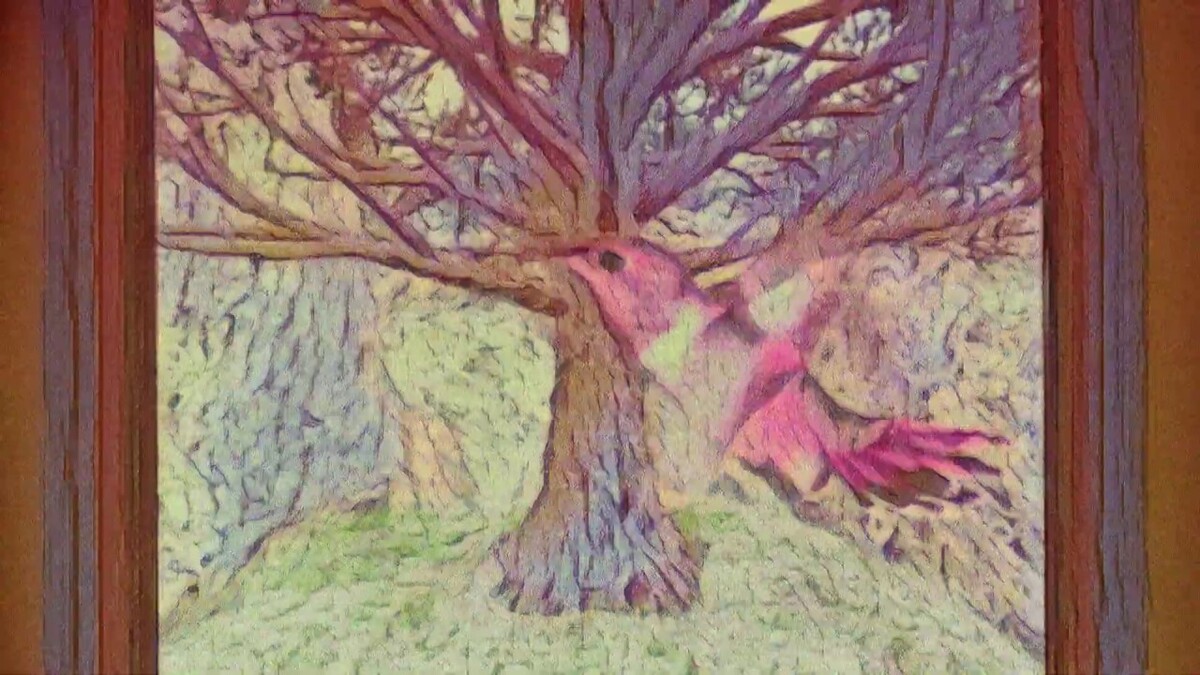 Hummingbird by Edu (Music video): Reviews, Ratings, Credits, Song list ...