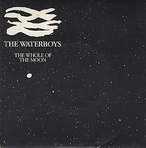 洋楽 THE WHOLE OF THE MOON 12\"/THE WATER BOYS The Waterboys - The Whole Of The Moon (Original 12
