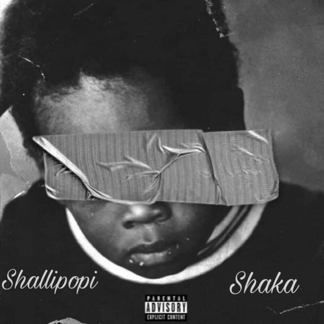 Shaka by Shallipopi (Single): Reviews, Ratings, Credits, Song list ...