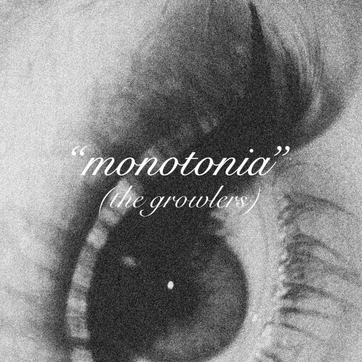 Monotonia (Growlers Cover) by Sophie Woodhouse (Single) Reviews