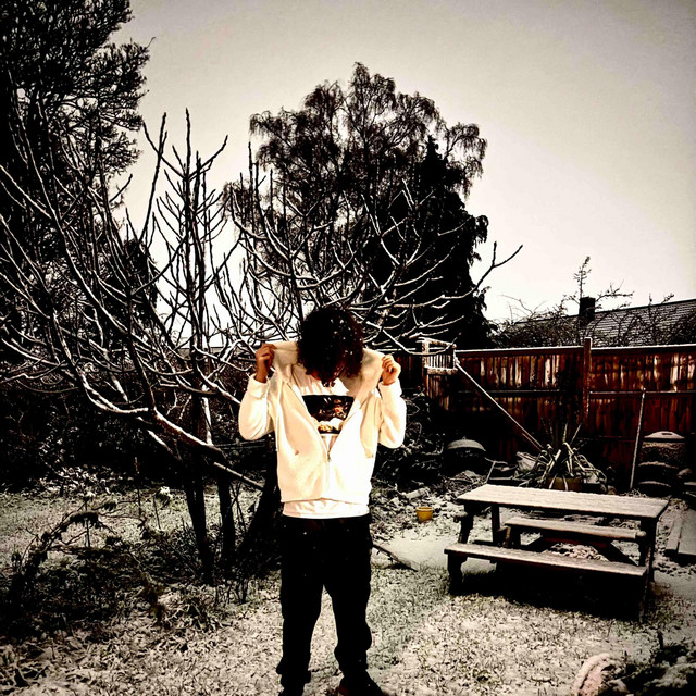 Rudeboys by snoa (Single, Trap): Reviews, Ratings, Credits, Song list ...